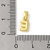 Rack Plating Brass Charms KK-C053-04G-E-3