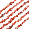 3 Strand Natural Carnelian Beads Strands G-BC0001-25-2