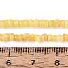 Natural Freshwater Shell Dyed Beads Strands SHEL-T020-29B-08-4