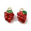 Brass Enamel Charms KK-S368-02G-01-1