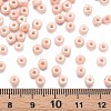 6/0 Glass Seed Beads SEED-T005-14-B02-4