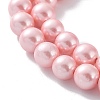 Shell Pearl Bead Strands X-BSHE-L025-06-8mm-6
