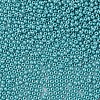 11/0 Czech Opaque Glass Seed Beads SEED-N004-003B-30-4