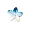 Resin Claw Hair Clips PW-WG93676-01-1