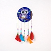 DIY Diamond Painting Hanging Woven Net/Web with Feather Pendant Kits DIY-I084-10-1