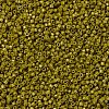 MIYUKI Delica Beads SEED-X0054-DB2141-3