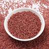 Cylinder Seed Beads SEED-H001-F12-3