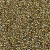 TOHO Round Seed Beads X-SEED-TR11-0998-2