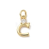 Brass Pave Clear Cubic Zirconia Charms KK-A273-01G-C-1