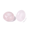 Natural Rose Quartz European Beads G-N359-17A-09-2
