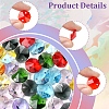 48Pcs 8 Colors Electroplate Glass Links Connectors EGLA-FS0001-48-3