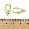 Brass Lobster Claw Clasps KK-B089-20B-G-3