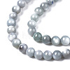 Natural Freshwater Shell Beads Strands BSHE-T009A-01K-3