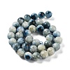 Natural Blue Ice Glacierite Stone Beads Strands G-G078-A01-03-3