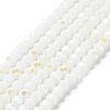 Opaque Glass Beads Strands LS-EGLA-A035-P6mm-L01-1