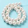 Natural Cultured Freshwater Pearl Beads Strands PEAR-E019-12-3