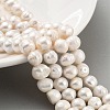 Natural Cultured Freshwater Pearl Beads Strands PEAR-C003-15B-2