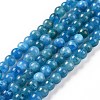 Natural Apatite Beads Strands X-G-D856-01-4mm-A-1