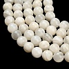 Natural White Moonstone Beads Strands G-L664-A01-10mm-3