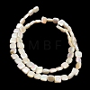 Electroplated Natural Freshwater Shell Beads Strands SH-CBA93AD-05-3
