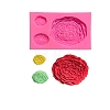 Food Grade Silicone Molds DIY-I078-18-2