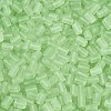 FGB Frosted Transparent Glass Seed Beads SEED-N013-05A-08-3