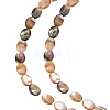 1 Strand Natural Paua Shell Beads Strands BSHE-ME0001-05-1