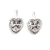 925 Sterling Silver Pave Clear Cubic Zirconia Charms STER-D306-04S-02-1