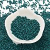 Baking Paint Glass Seed Beads SEED-S042-05B-67-2