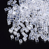 8/0 Two Cut Glass Seed Beads SEED-S033-15A-02-2