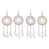 Acrylic Woven Net/Web with Feather Pendant Decorations HJEW-JM02352-1