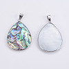 Abalone Shell/Paua Shell Pendants SSHEL-L008-20P-3