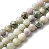 Natural Peace Jade Beads Strands G-E598-04C-2