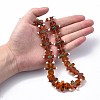 Handmade Lampwork Beads Strands LAMP-N021-025-5