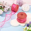 2 Rolls Polyester Mesh Ribbons SRIB-TA0003-42B-5