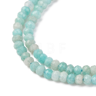 Faceted Rondelle Natural Amazonite Bead Strands G-F289-06A-1