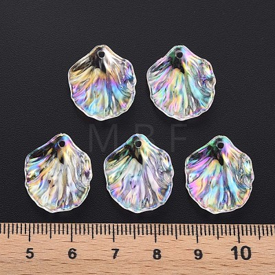 Transparent Acrylic Pendants MACR-S373-73-C02-1