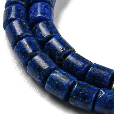 Natural Lapis Lazuli Beads Strands G-C084-A05-01-1