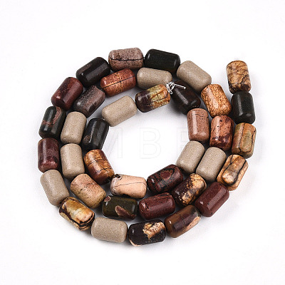 Natural Picasso Jasper/Polychrome Jasper Beads Strands G-N346-01B-05-1