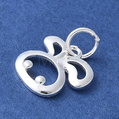 925 Sterling Silver Chinese Zodiac Outline Charms STER-P066-02S-04-1