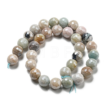 Natural Amazonite Beads Strands G-O164-02-12mm-1