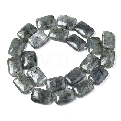 Natural Labradorite Beads Strands X-G-T121-13-1