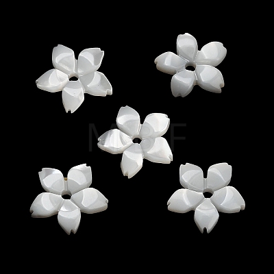 Natural White Shell Beads SH-CBA93AD-08-1