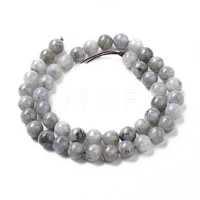 Natural Labradorite Beads Strands G-I261-D02-8mm-1