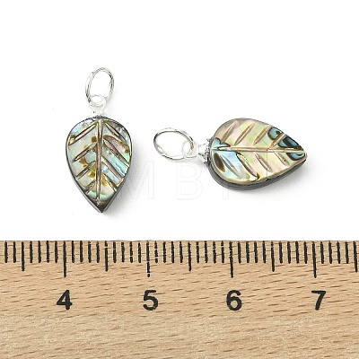 Natural Paua Shell/Abalone Shell Carved Pendants PALLOY-JF05615-02-1