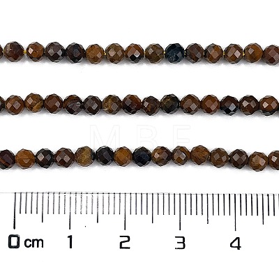 Natural Tiger Eye Beads Strands G-M399-03C-01-1