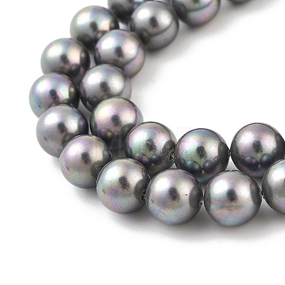 Shell Pearl Bead Strands BSHE-L025-07-8mm-1