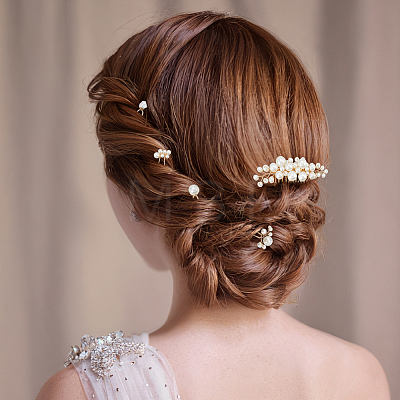 6Pcs Iron Resin Hair Cormbs & 12Pcs Iron Resin Hair Forks for Women PHAR-OC0001-05-1