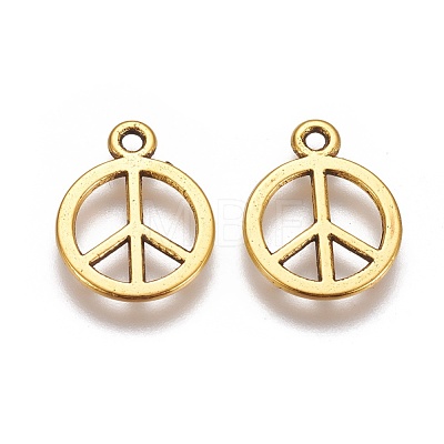 Tibetan Style Alloy Charms X-GLF11179Y-1