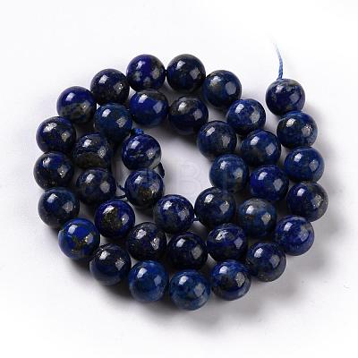 Natural Lapis Lazuli Bead Strands G-G953-04-10mm-1